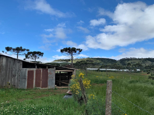 Fazenda